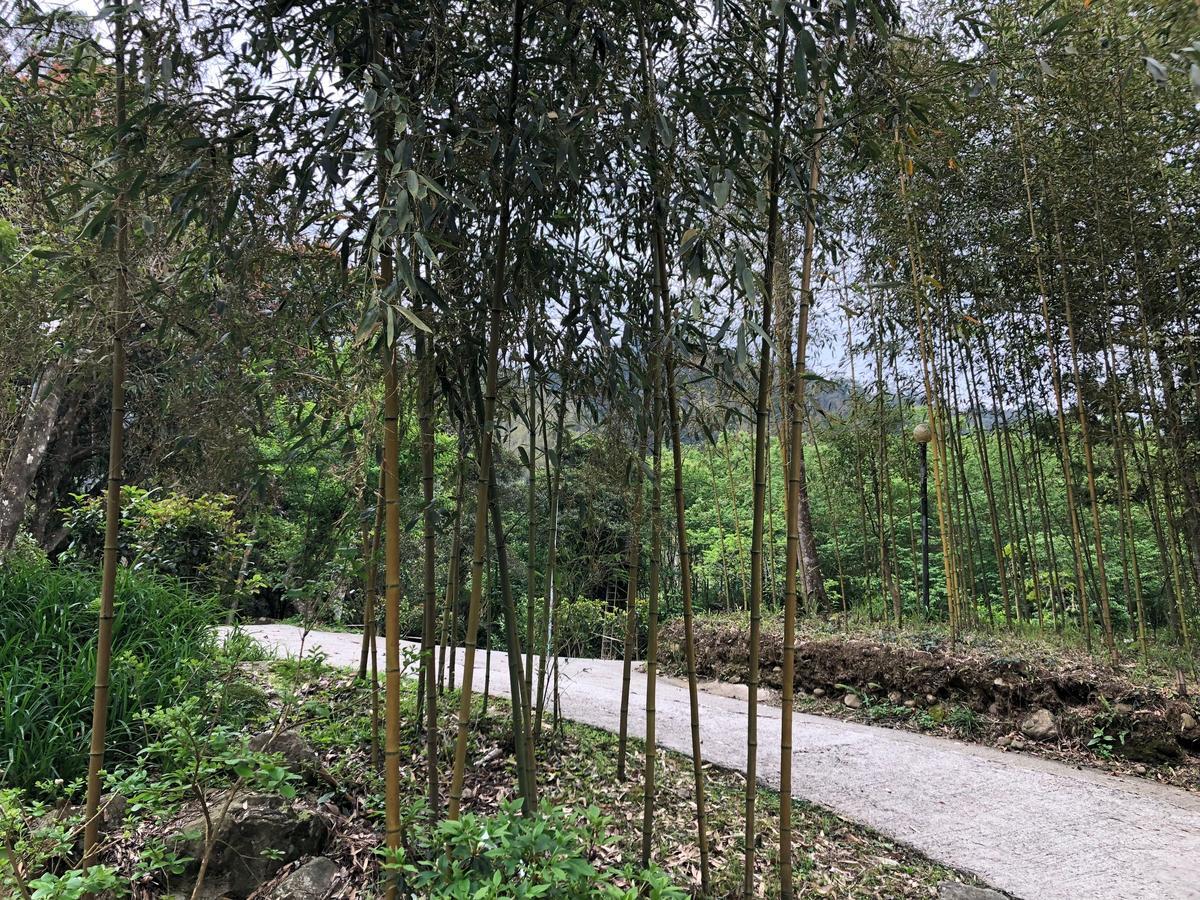 Hemerocallis Country House Nam Trang Ngoại thất bức ảnh